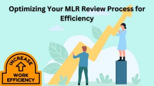 MLR Process Review